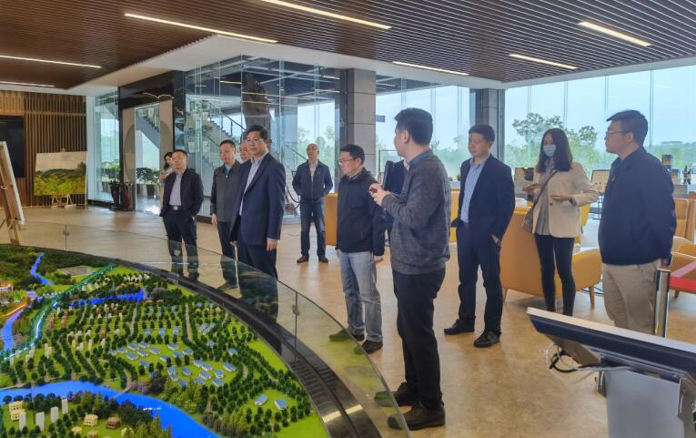 广西旅发集团党委书记、董事长容贤标考察集团文旅项目